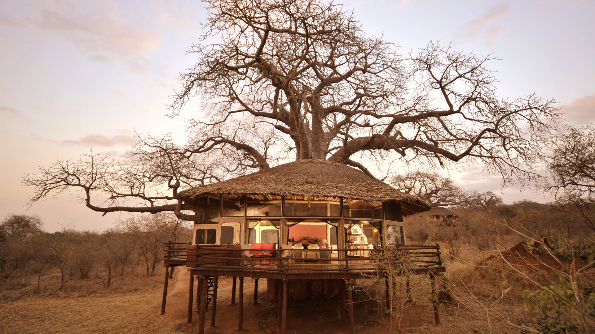 Luxury Tarangire Safari